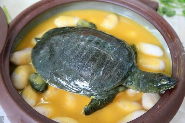 张老汉被医院警告,山东张老汉最新视频