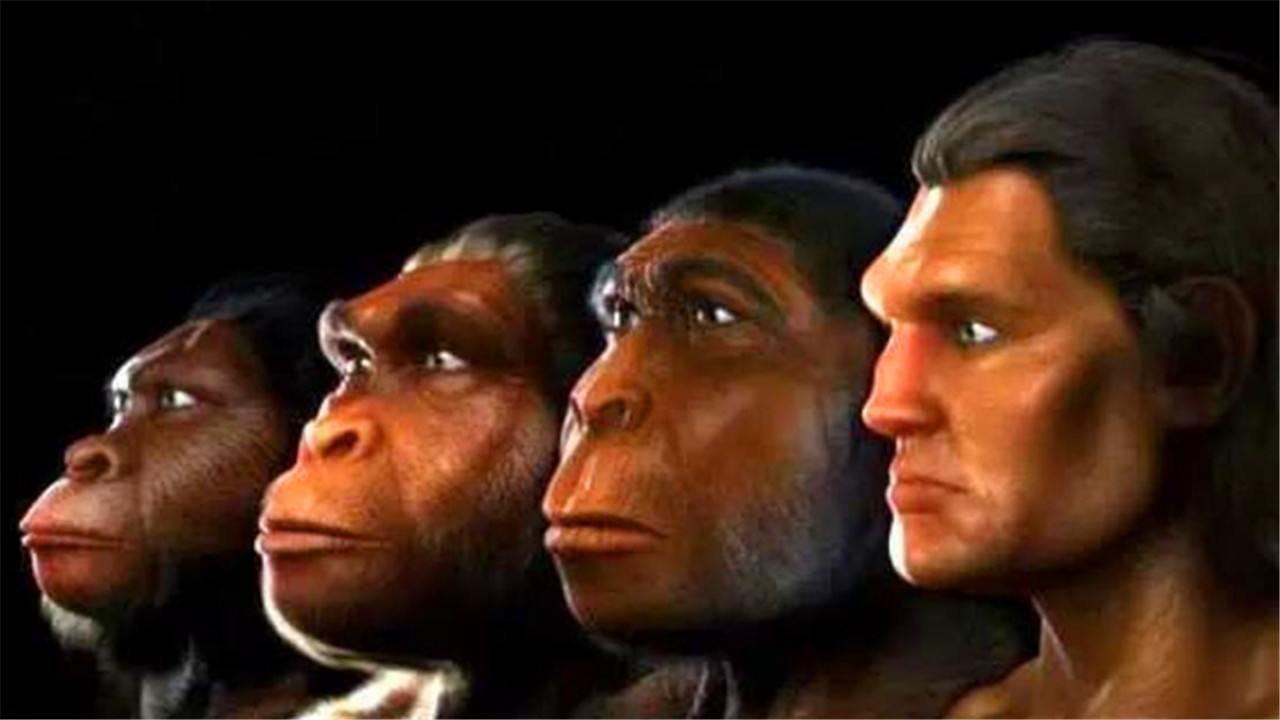 为什么人类分娩比其他动物更痛苦,为什么动物分娩比人容易分娩