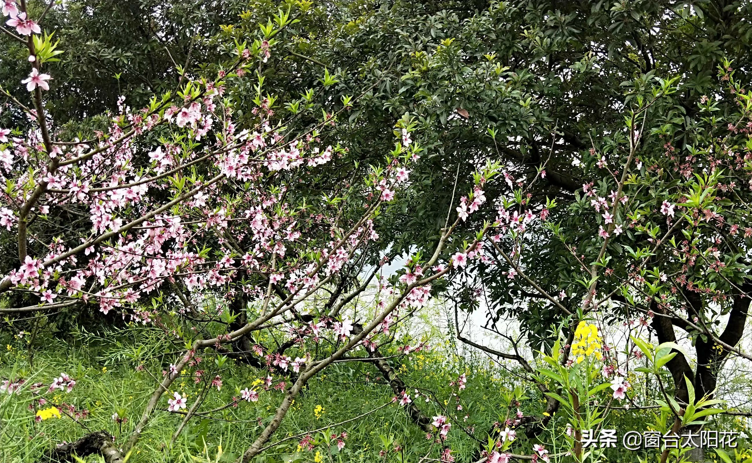 独自穷游西藏,独自穷游中国之湖北恩施