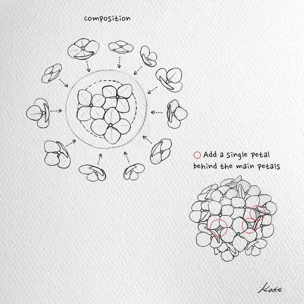 一分钟教你简单画花,简单的花卉图教程
