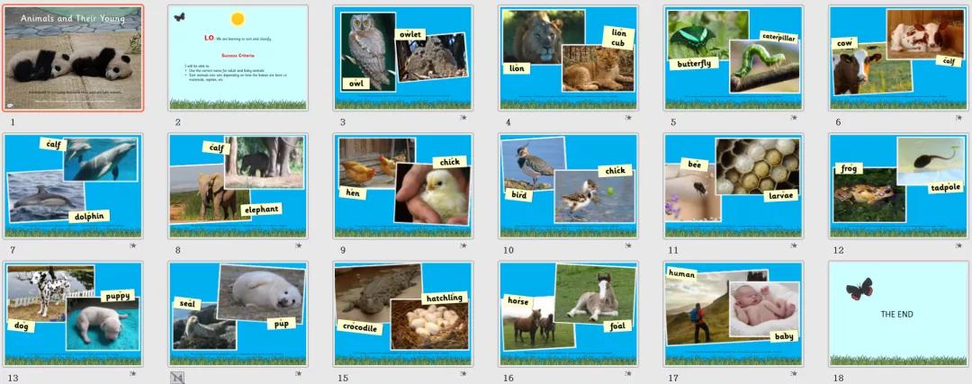 精美的英语教学ppt,英语教学分享ppt模板