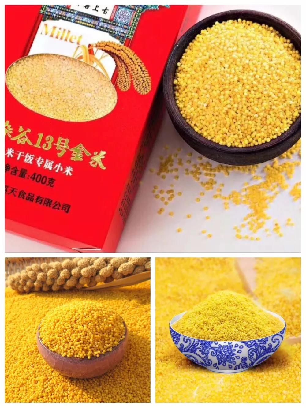 回家一级优质米，明星产品张杂谷13号，亩产千斤