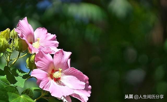 人生格言经典短句励志正能量,正能量人生格言励志短句大全