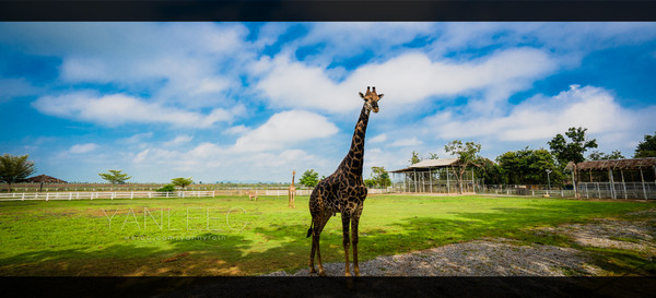 最新玩转泰国攻略,泰国旅游漫游