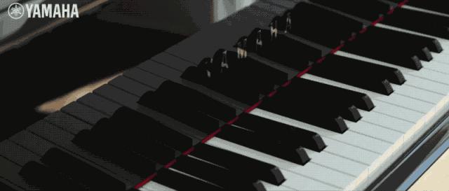 雅马哈乐器杭州专卖店,雅马哈音乐中心介绍