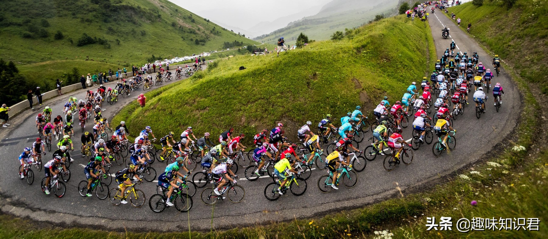 关于女性的趣味冷知识,受不了的趣味冷知识大全