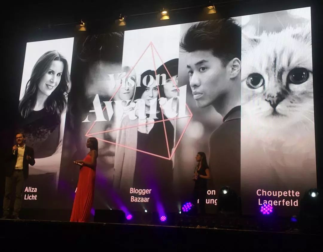 21亿遗产的猫现在怎么样了,失踪多年的猫终于回来了