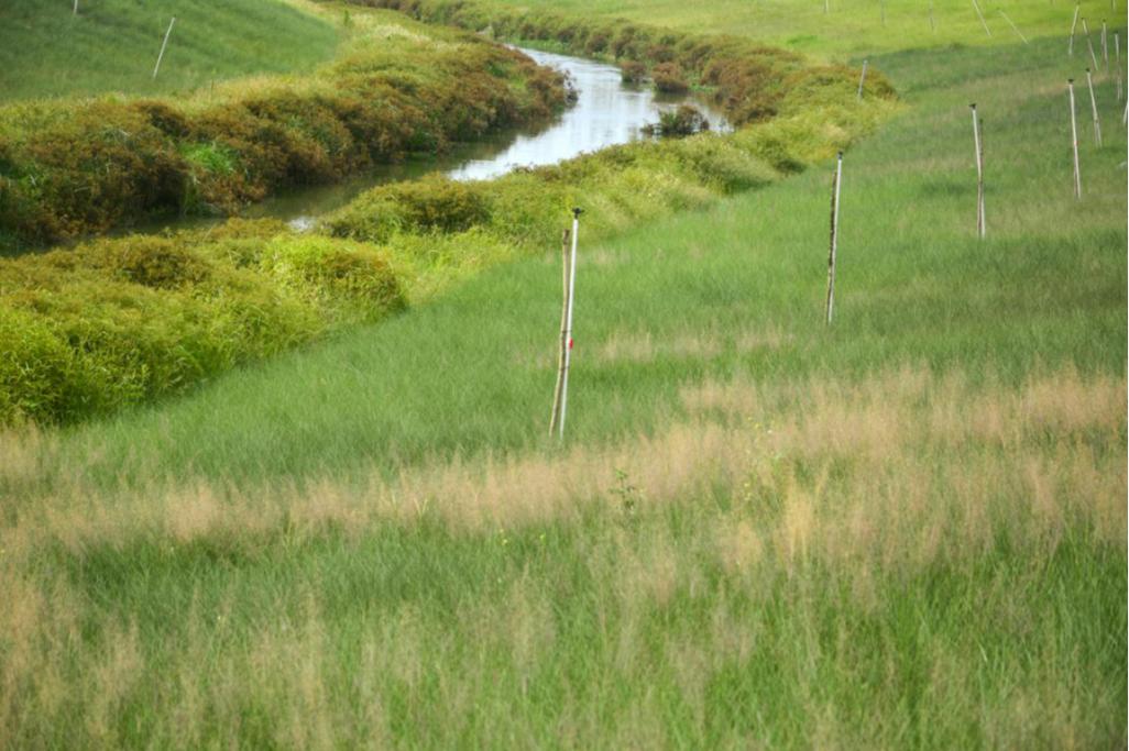 北海新的风景区,北海新建的公园
