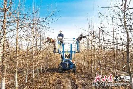 #疫情防控临夏在行动#【决战决胜脱贫攻坚】书写决战脱贫攻坚的春天答卷—甘肃全力推进脱贫攻坚任务落实纪实