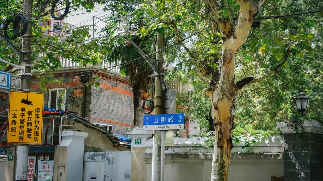 魔都网红马路视频,魔都值得散步的马路