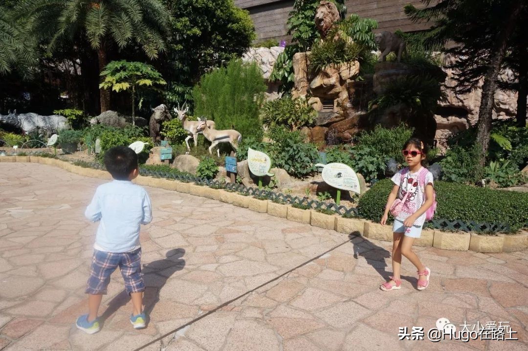 去香港亲子旅行攻略路线图片,香港亲子游最佳路线图