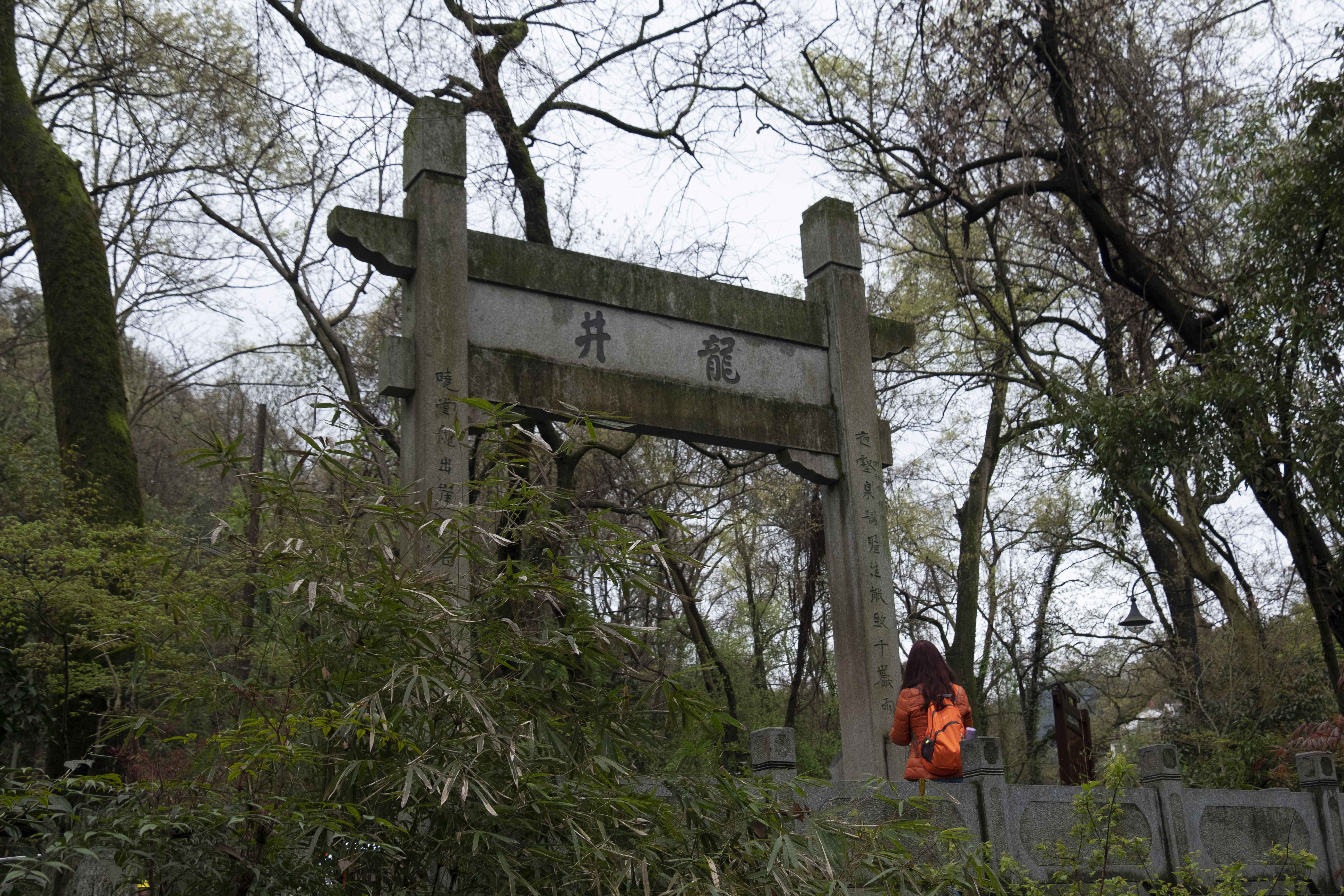 西湖龙井春茶季,龙井茶西湖明前春茶
