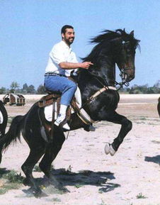 萨达姆之子乌代怎么样,恶魔之子乌代真的假的