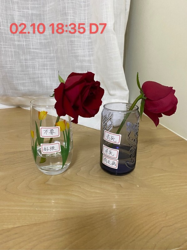 无形决定有形的说法,无形决定有形