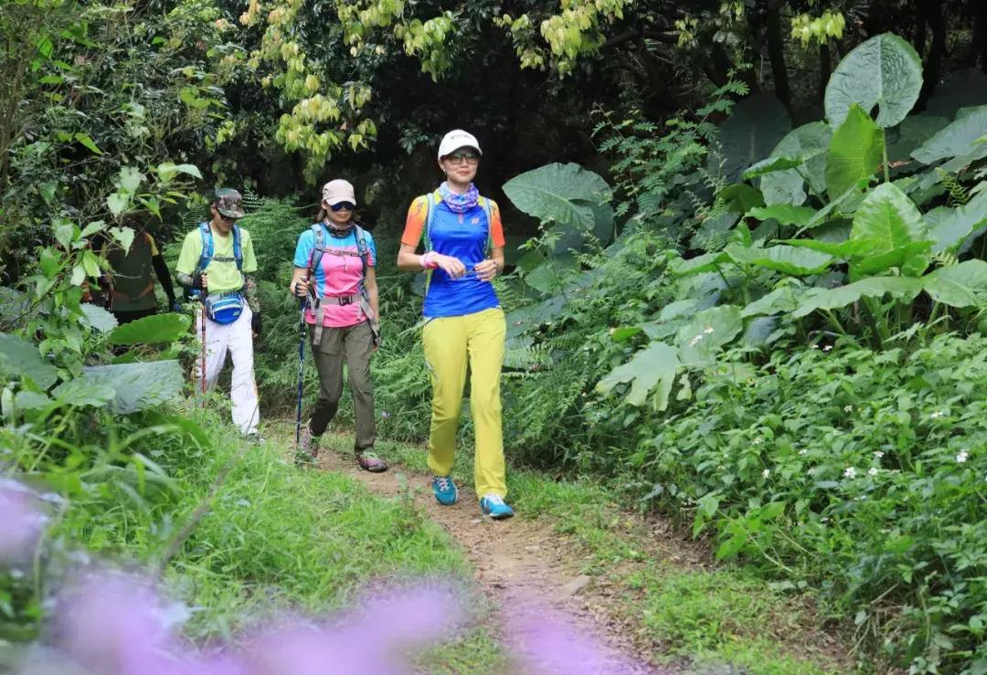 广州从化赛马会,广州从化站赛马会