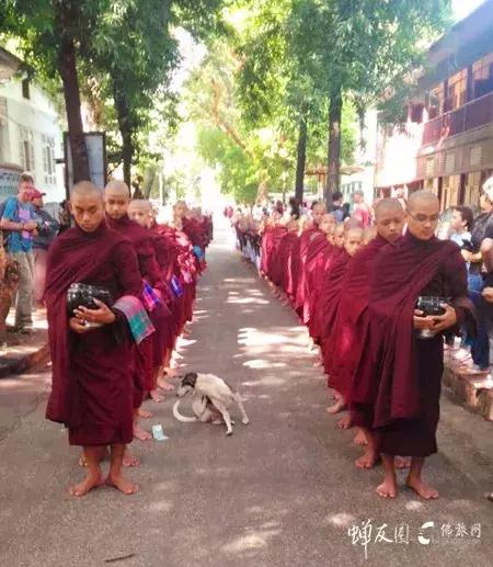 缅甸佛教圣地仰光大金塔,千年佛祖舍利视频