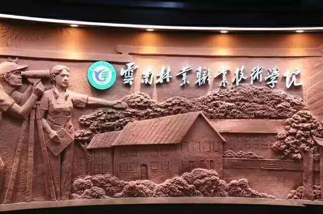 云南林业职业技术学院五年制大专,云南林业职业学院是大专还是高职