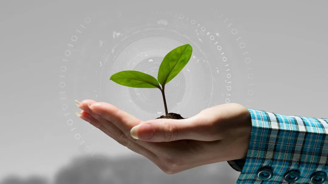 人肉搜索举报违法行为,关于举报人肉搜索的新闻