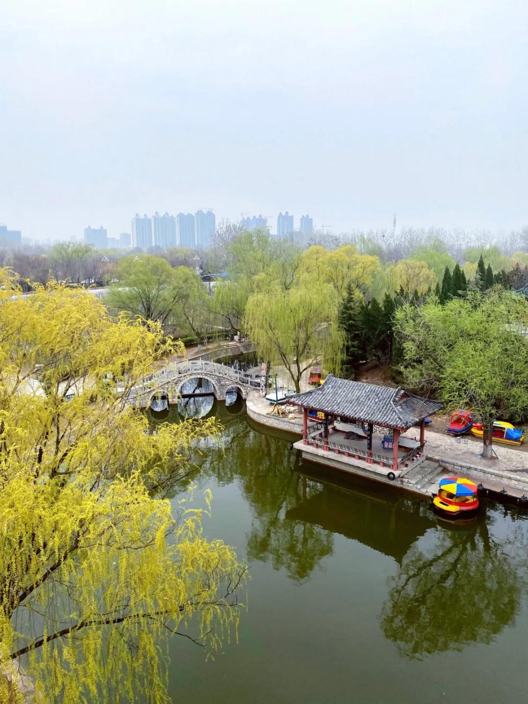 聊城姜堤乐园的门票是多少钱,姜堤乐园玻璃桥