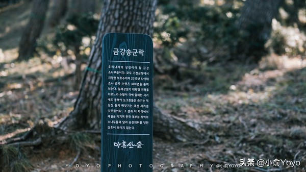 韩国旅游不可错过的景点,韩国不能错过的3部电影