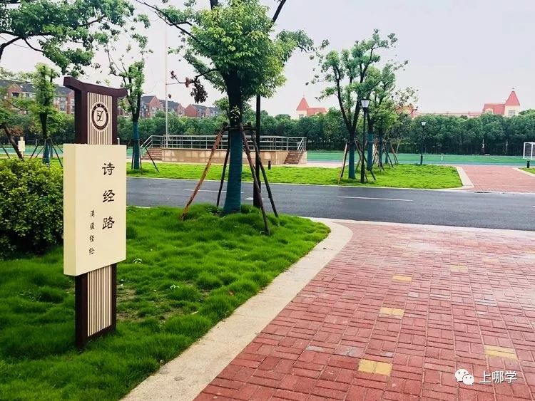 上海最好的十大民办初中,上海各区的顶级初中和一流初中