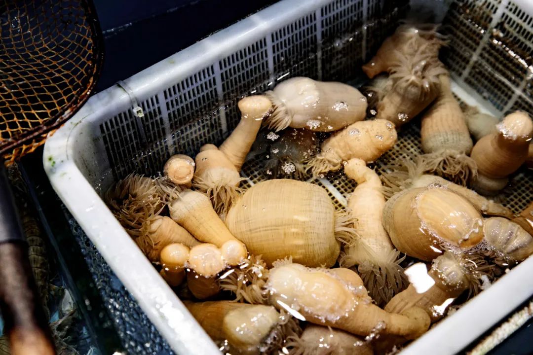 这些美食温州人决定不能错过,温州好吃到停不下来的美食