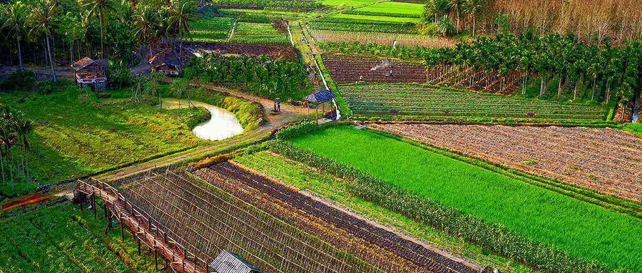 特色农业拓展致富路线,全国各地发展农业的优势条件