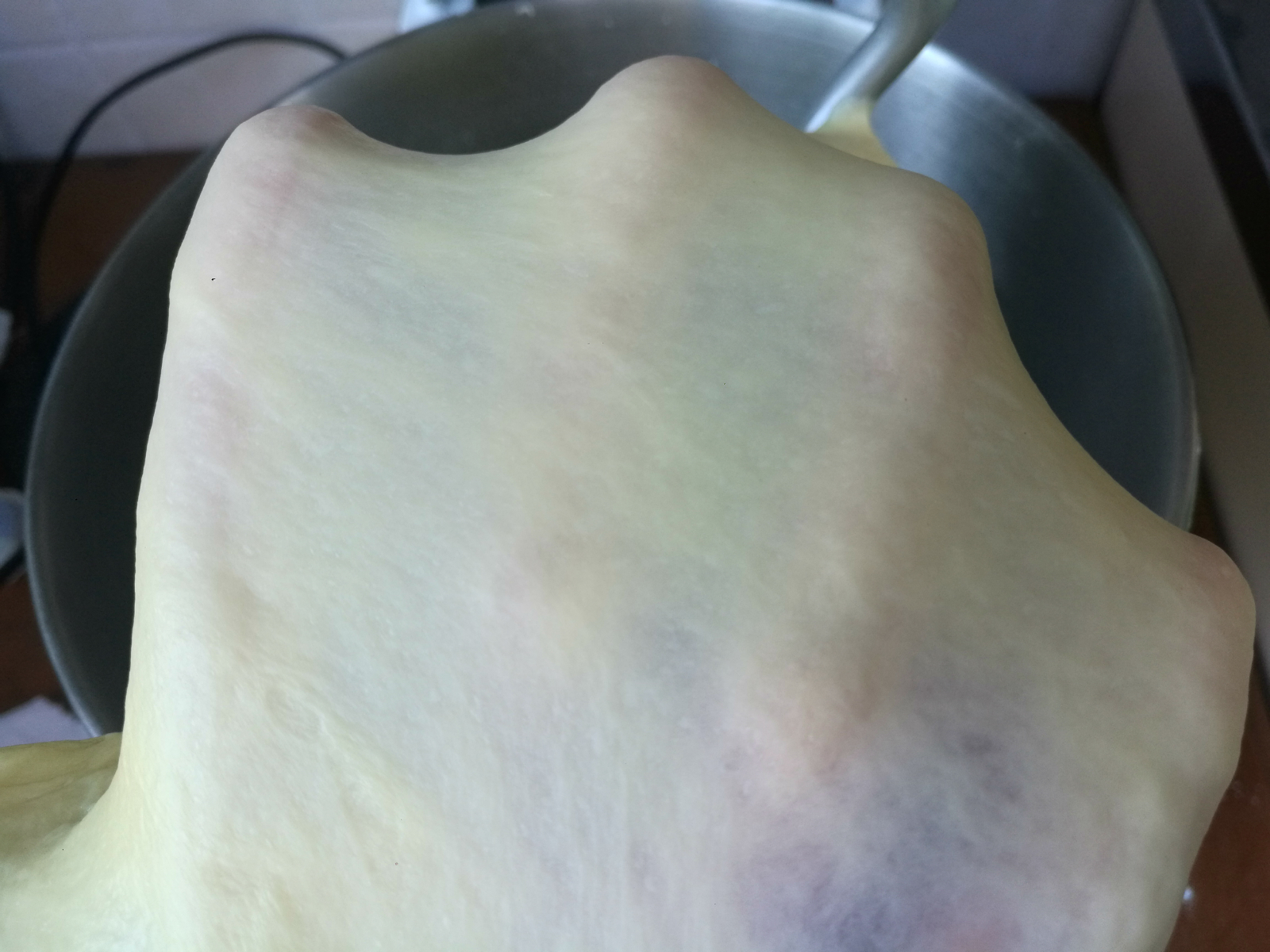 一次发酵的椰蓉吐司,一次发酵葡萄干吐司