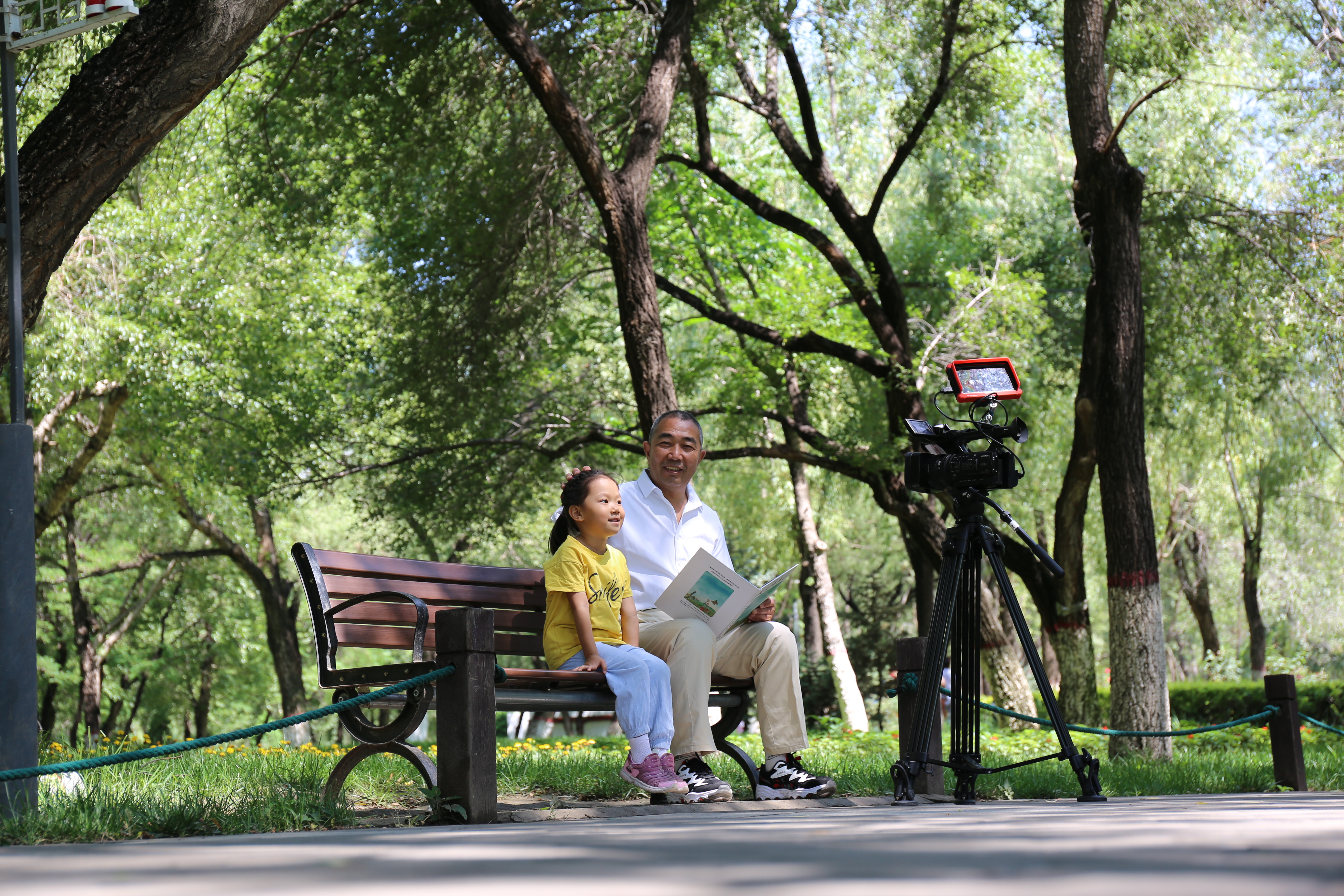 栾祥平出席活动,中医名家针灸治疗视频