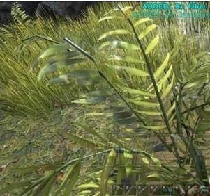 欢迎来到方舟生存进化,欢迎来到方舟英文