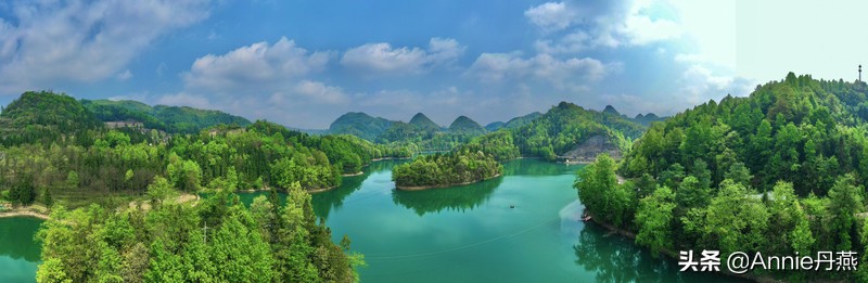 百里杜鹃花开如海,百里杜鹃百里盛开
