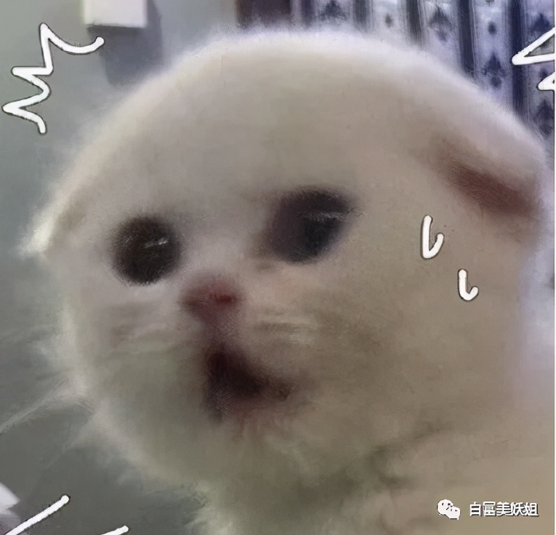 天涯贵妇楼第一美消失之谜