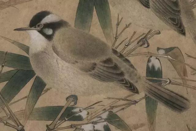 不看一百幅宋画，休想读懂中国美术！