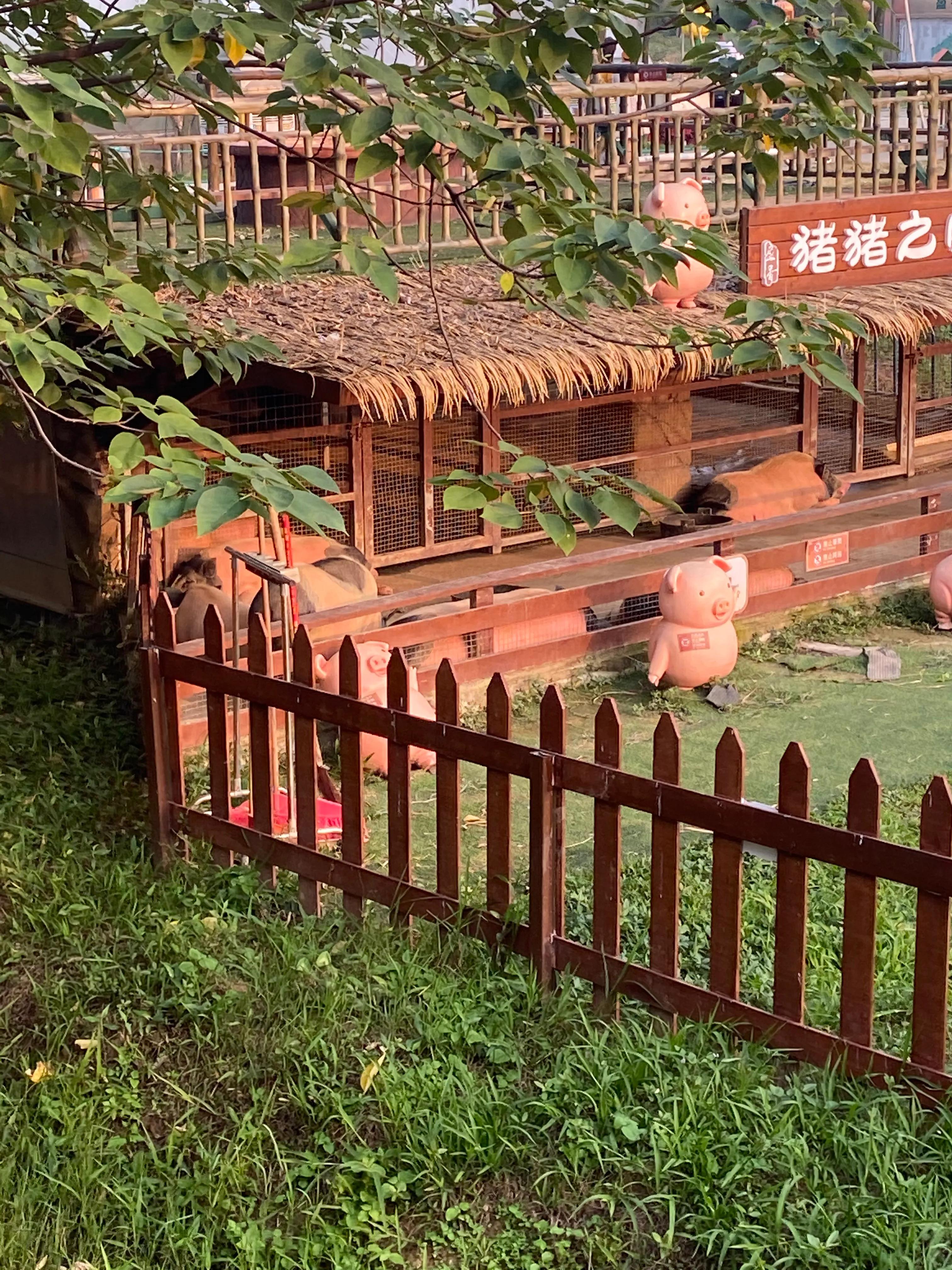 佛山盈香生态园一天玩得完吗,佛山盈香生态园值得去吗