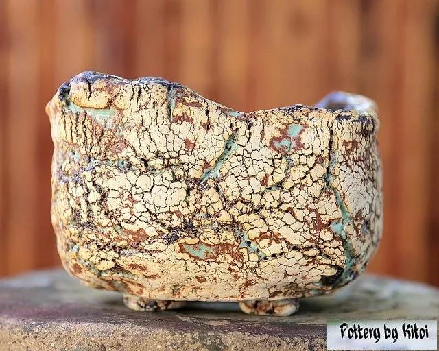 多肉大师手绘花盆,多肉顶级玩家