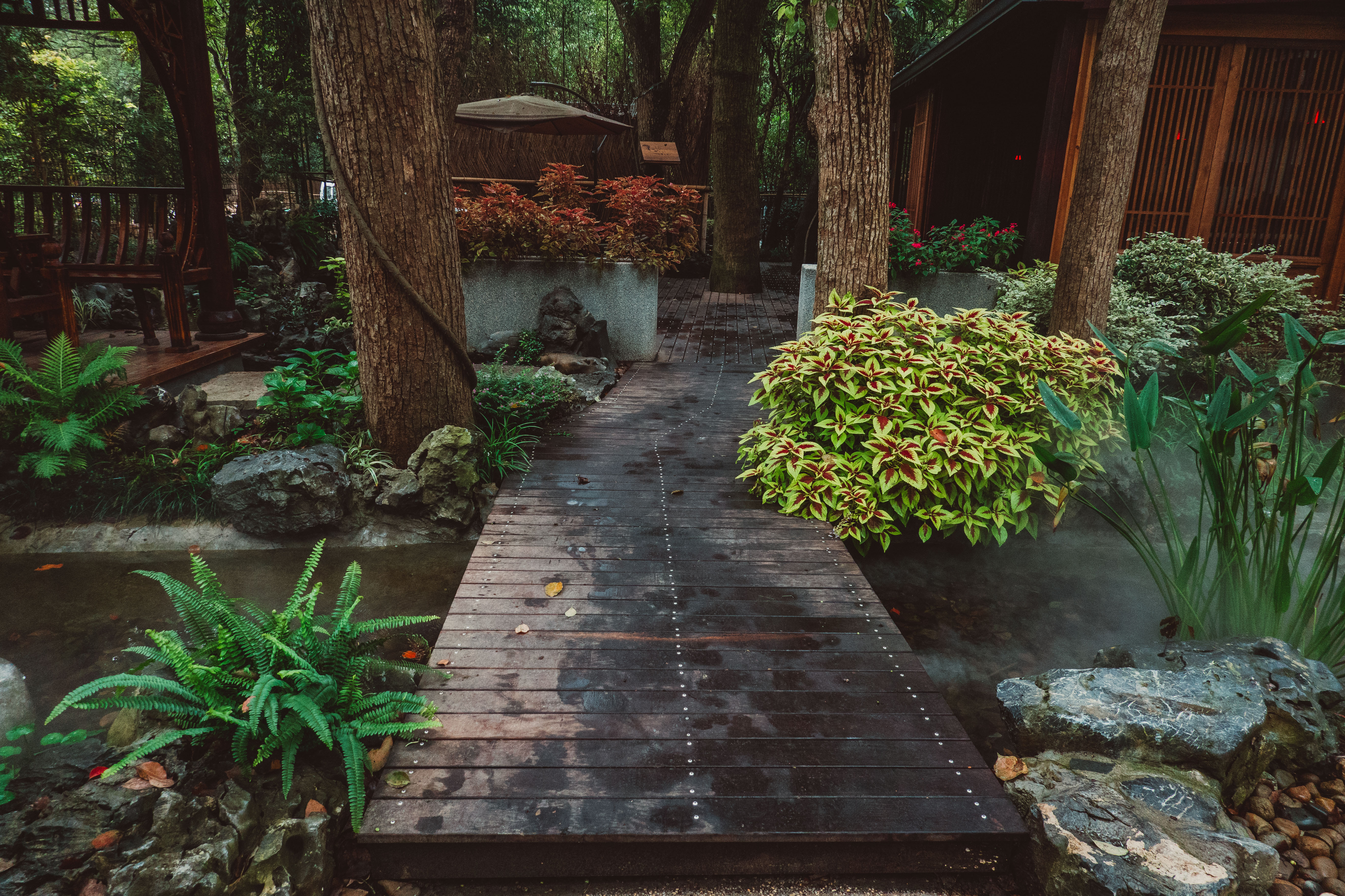 西湖十景九溪,西湖新十景之九溪十八涧