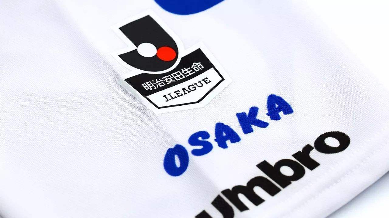 保险的风险识别与防范,保险业对利率波动的应对策略