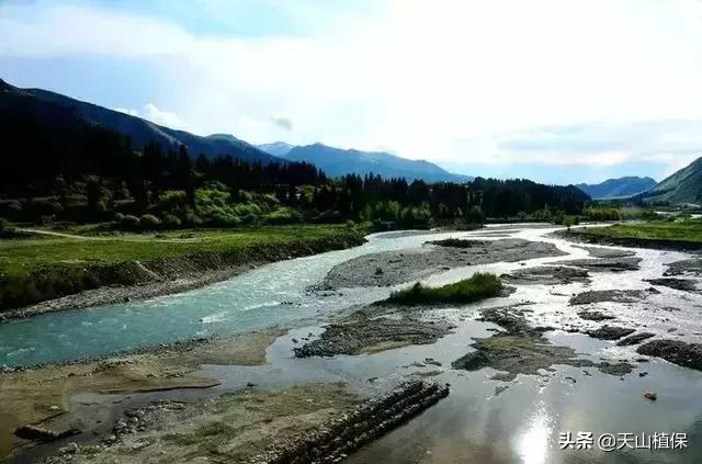 大美新疆百里画廊,北疆千里画廊打卡点