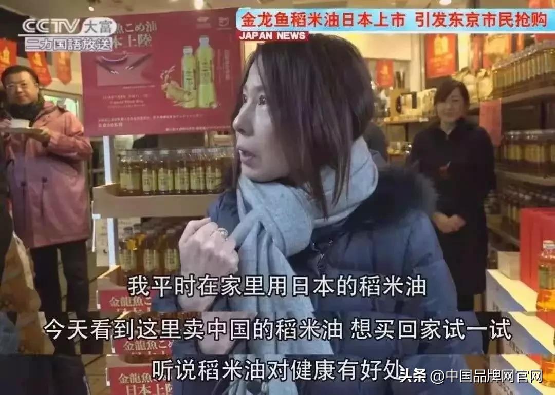 稻米油金龙鱼现状,稻米油金龙鱼