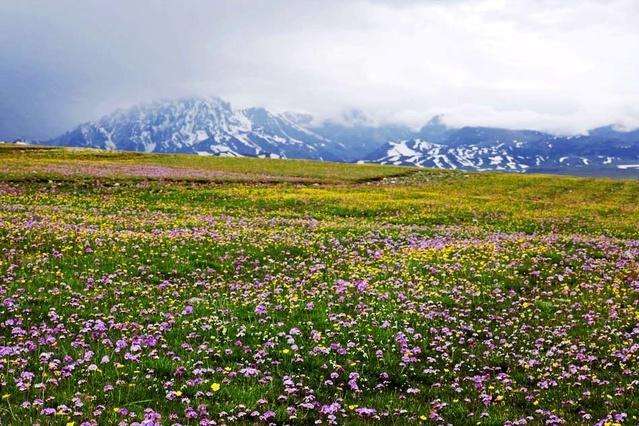 伊犁哈萨克自治州地图,伊犁哈萨克自治州