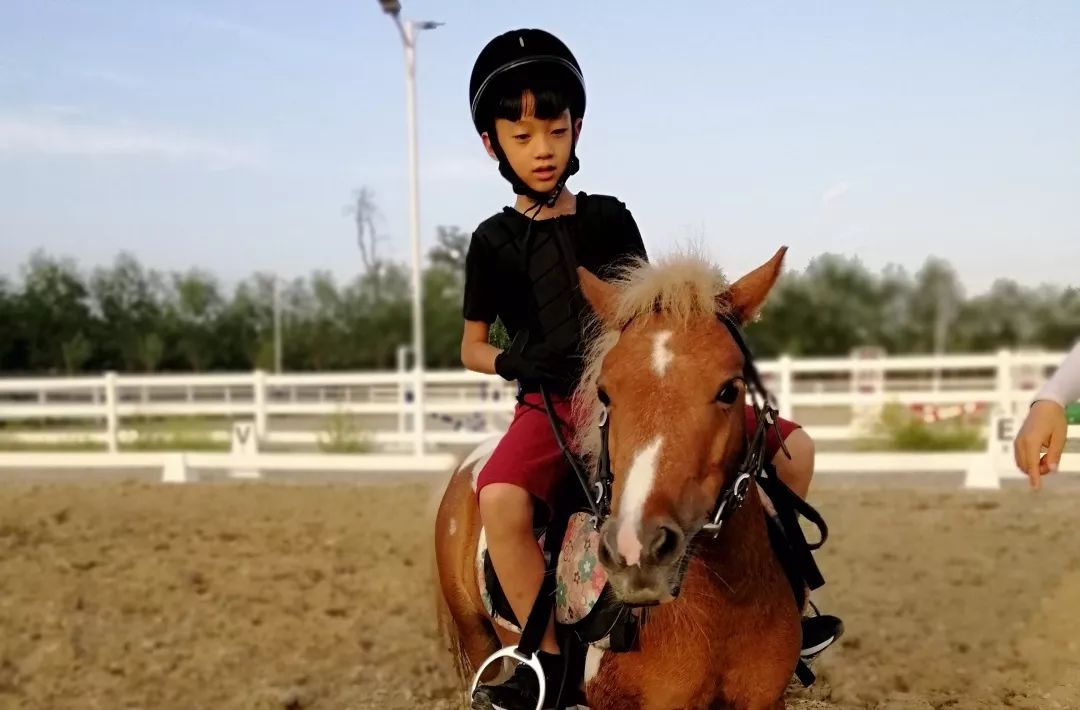 孩子学习用力过猛的后果,孩子精力旺盛是先运动还是学习
