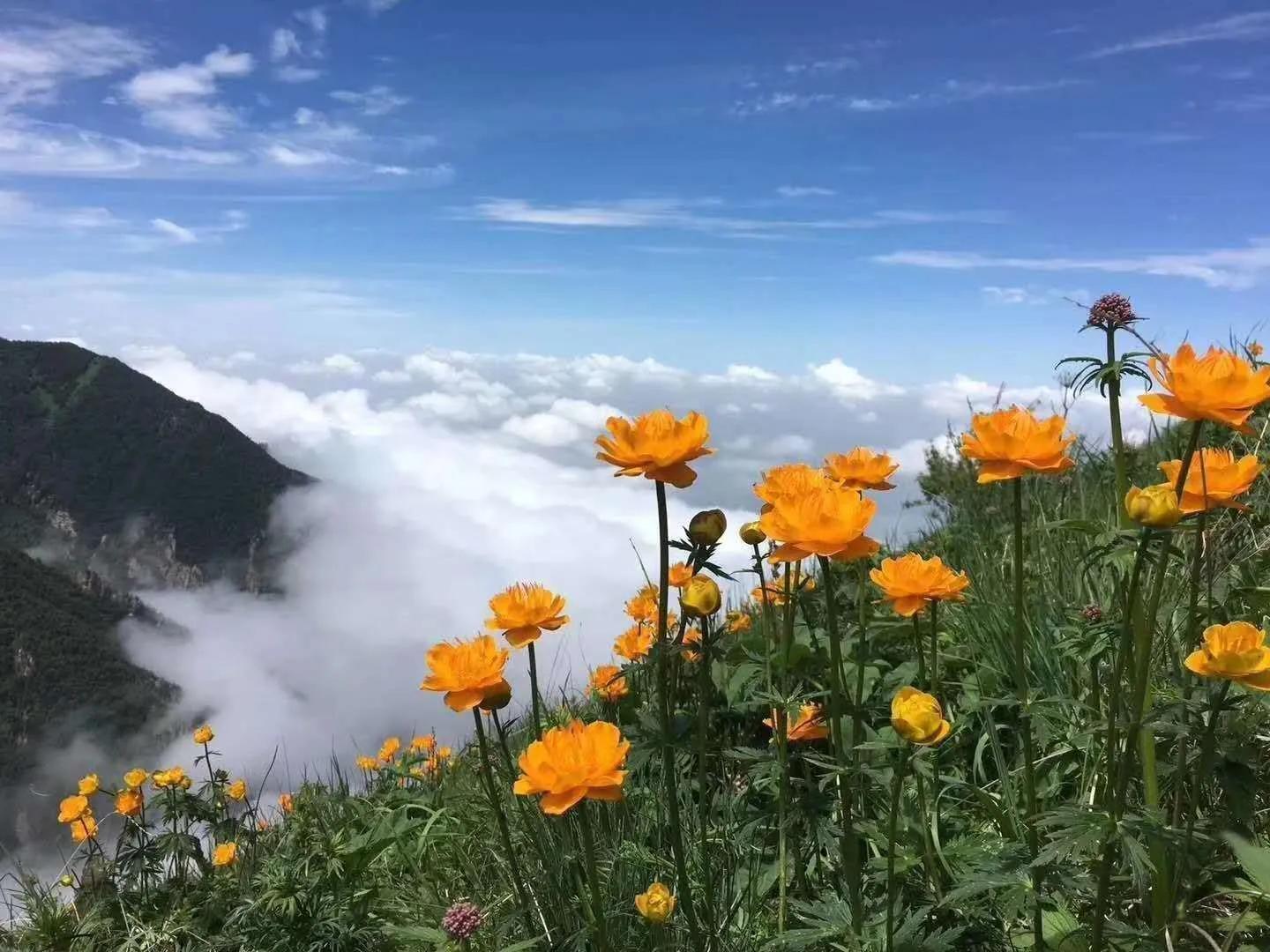 河北最高的小五台山晴空万里,河北的最高山峰小五台山海拔多少