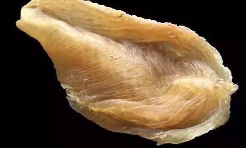 花胶最简单的泡发,花胶正确的泡发