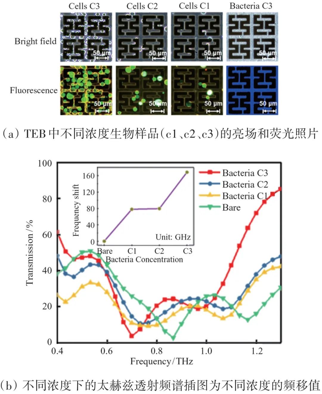 太赫兹技术对6g重要吗,太赫兹6g领域进展