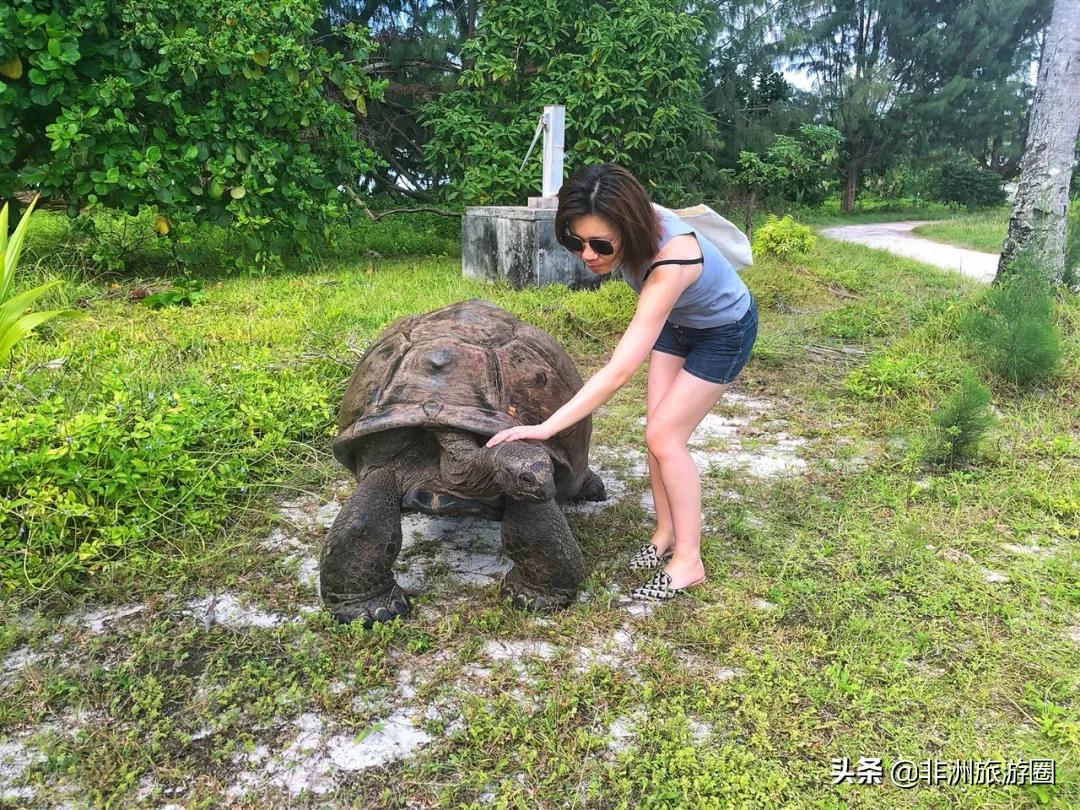 塞舌尔旅行体验,塞舌尔海岛游记
