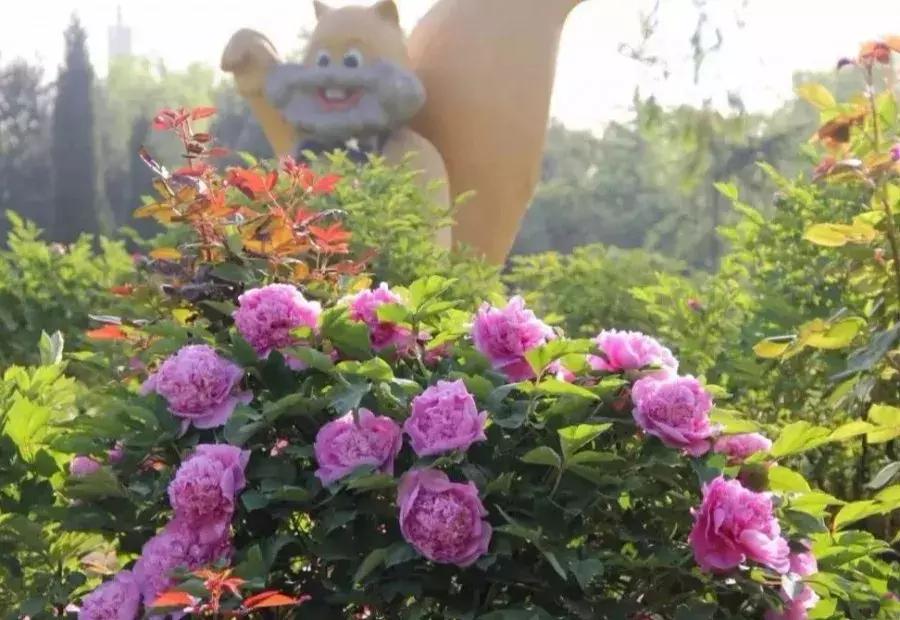 洛阳鹰嘴山沿黄公路自驾游攻略,洛阳旅游景点攻略最值得去的地方