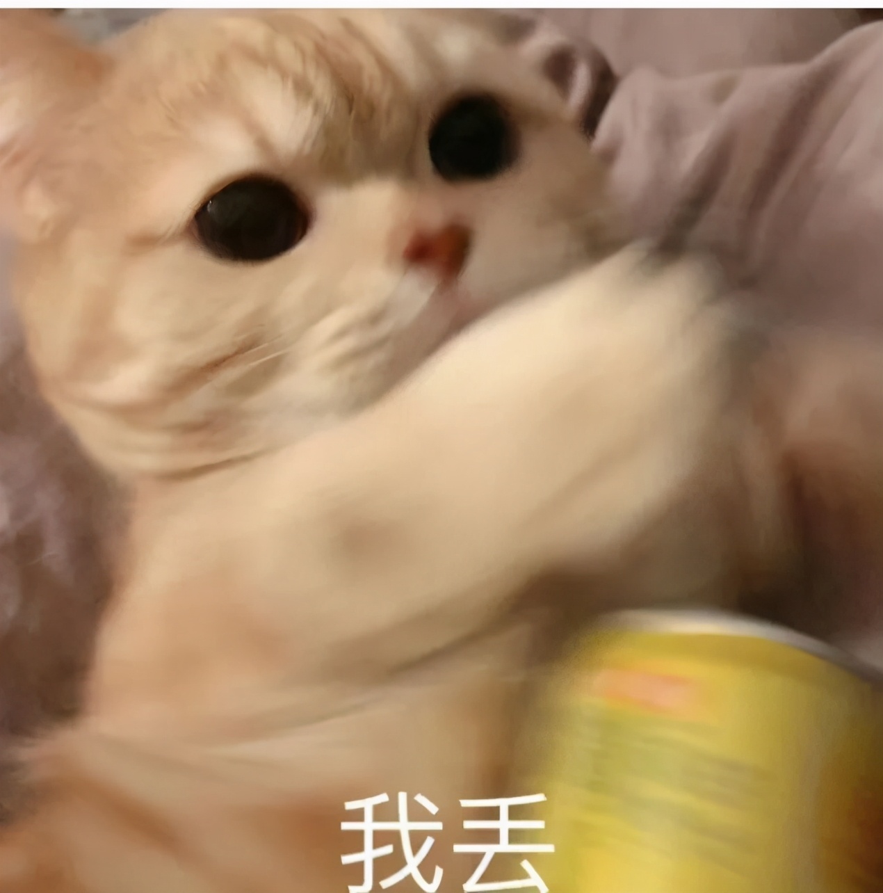 算了还是要上班系列表情包,一想到明天上班就想打个人表情包