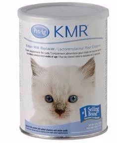 猫为什么不能喝牛奶而喝羊奶,小奶猫不让喝奶