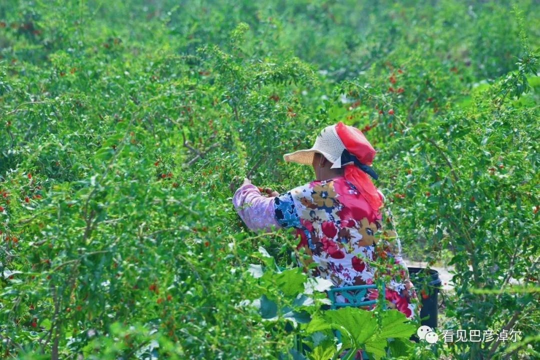 七分钟带你领略大美乌拉特前旗 (带你去看乌拉特前旗)