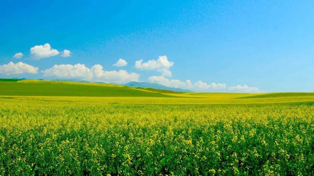 最全成语分类汇总,最全最实用的成语总结